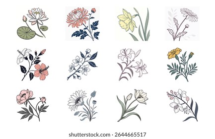 Doze ilustrações elegantes de flores botânicas com lotus chrysanthemum daffodil daisy jasmine lily marigold peony girassol tulipa orquídea