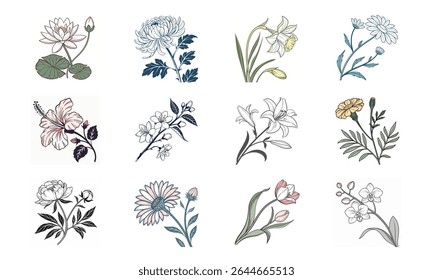 Doze requintados arranjos florais feitos à mão perfeito para design de ilustração botânica