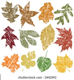 Twelve Grunge Leaves, vector file, change the colors as you like