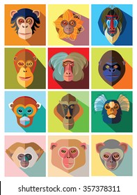 Twelve icons of monkeys of different breed in flat design
