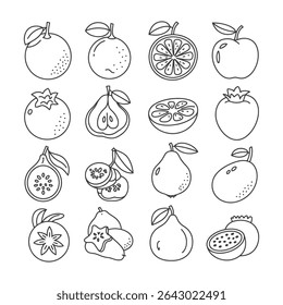 Twelve Line Drawings of Various Fruits Whole and Halved Including Oranges Pears Apples and More Black and White Fruit Illustrations