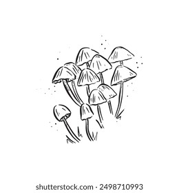 Twelve mushrooms illustrated in black with dots indicating morning dew around. Cute hand drawn illustration as a vector in black. Fungi, natural.