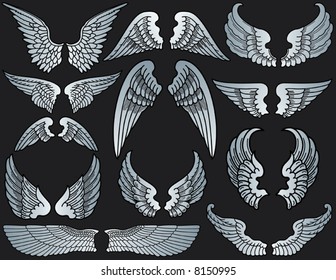 Twelve Sets of Angel Wings