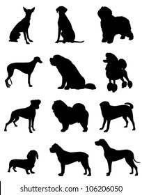 twelve shades of different breeds of dogs on a white background