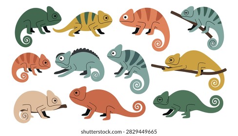 Twelve vibrant illustrated chameleons with curled tails