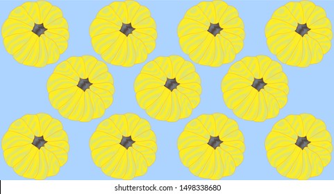 twelve yellow pumpkins scribbled in rows on a blue background top view