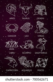 twelve zodiac constellation horoscope signs