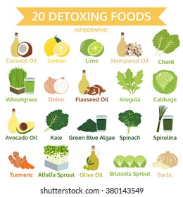 twenty detoxing foods, info graphic flat food, vector illustration