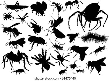 twenty five insect silhouettes isolated on white background