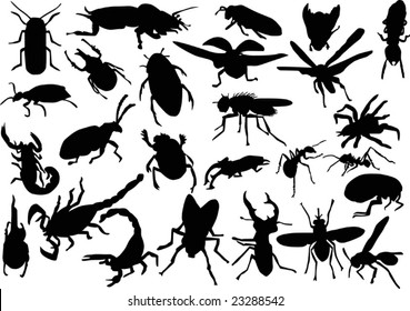 twenty six insect silhouettes isolated on white background