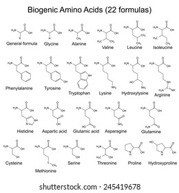 Twenty Two Biogenic Amino Acids - Chemical Formulas, 2d Illustration, Vector, Eps 8