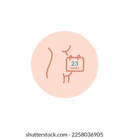 Twenty-three weeks pregnant icon. 23 weeks of pregnancy calendar icon in vector. Six months pregnant woman sign. Pregnancy week by week.