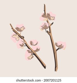 twids with cotton bolls close up