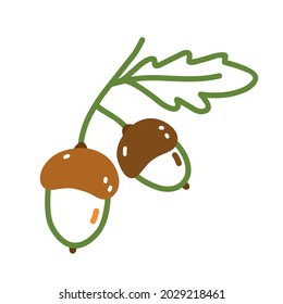 Twig with acorns and leaves in doodle style. Hand-drawn vector illustration isolated on white background. Perfect for cards, logo, autumn and holiday designs, decorations.