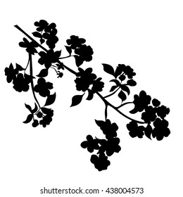 twig apple-tree blossoms. Vector illustration. Black Silhouette