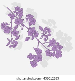twig apple-tree blossoms. Vector illustration. Silhouette. Shades of grey