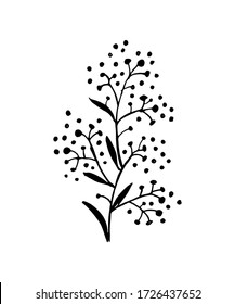 ramita aislada sobre un fondo blanco. twig - ilustración vectorial plana. planta, flores