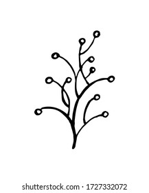 twig art decorative element. branch for postcard design. wedding decorations. spring element isolate