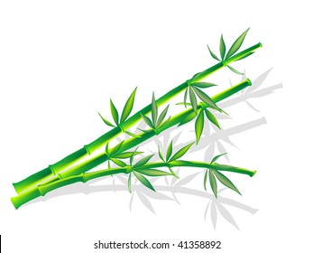 Twig of bamboo - vector illustration