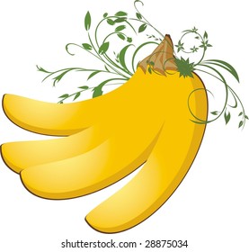 Twig of banana. Vector