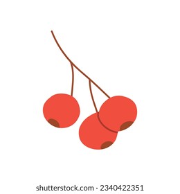Twig with berries in a flat style. Vector illustration. Rowan branch.