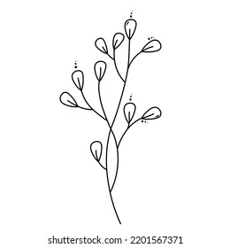 Una ramita, una hoja de pasto.  Flor. Silueta de tinta negra aislada sobre fondo blanco.  elementos decorativos de vector dibujados a mano para su diseño.