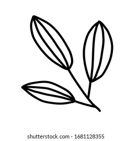 Twig. Blade of grass. Vector illustration on a white background.