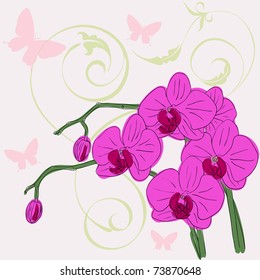  twig blossoming orchids on a background with butterflies