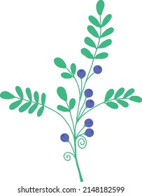 A twig with blue berries. A vector file is useful for creating your designs.