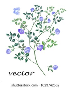 Twig with blue flowers and leaves. Vector illustration. Blue rose.