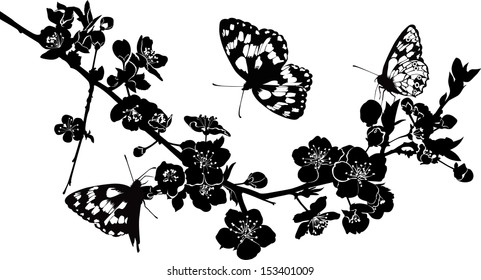twig cherry blossoms and butterflies