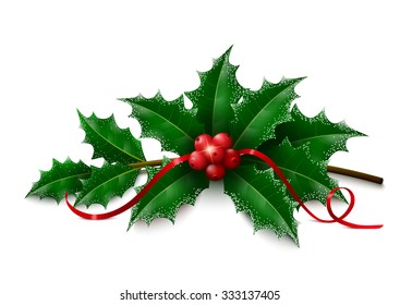 Twig of Christmas holly with snowy leaves, berries and ribbon on white background. Vector illustration.