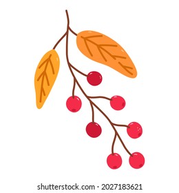 Twig with cranberries and golden leaves isolated on white background. Vector hand-drawn illustration in cartoon flat style. Perfect for your project, cards, logo, decorations.