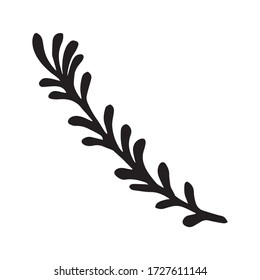 Twig in doodle style. For greeting cards, logo. Hand drawn vector illustration in black ink. Isolated outline.