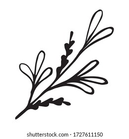 Twig in doodle style. For greeting cards, logo. Hand drawn vector illustration in black ink. Isolated outline.