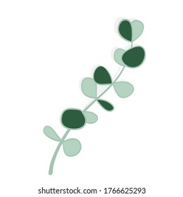 Twig with eucalyptus leaves in cartoon style. Aromatherapy eucalyptus  on white background. Item for fragrance and Spa treatments 