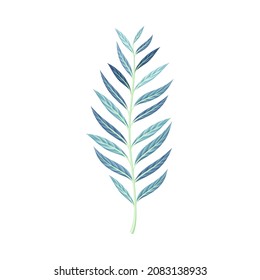 Twig flower with narrow blue leaves, trendy color floral design element vector illustration