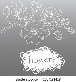 twig with flowers, flowers, vector illustration, postcard, line art, composition with flowers, flower postcard