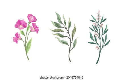 Twig and Foliage with Stem, Leaves and Blooming Flower Vector Set