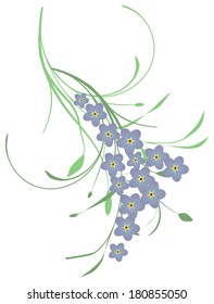 A twig of Forget me not flowers
