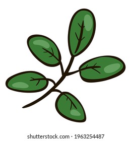 Twig with green leaves. Green plant, green leaves of wild berries lingonberry. Vector illustration in a flat style. 
