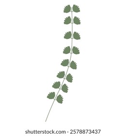 Twig with green leaves. Vector flat illustration