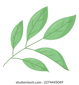 Twig with green leaves. Vector isolated cartoon illustration.