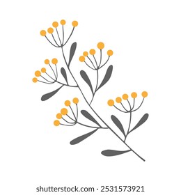 Twig hand drawn, branch doodle with orange berry, element isolated on white background. Vector illustration