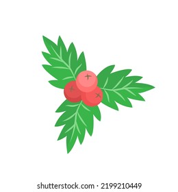 Twig of holly with berries in a cartoon flat style isolated on the background. Vector Christmas and happy new year illustration.