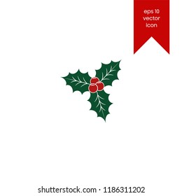 Twig Holly Berry Leaves vector icon