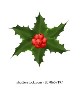 Twig holly with leaves and berries isolated on white background