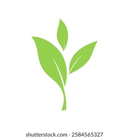 Twig icon is a green leaf, hand-drawn, isolated on white, flat design, vector. A graphic element for a logo, label, emblem, or decoration. Decorative healthy botanical sign for eco-friendly products