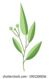 Twig icon with sharp leaves. tropical green leaf vector icon for web design isolated on white background