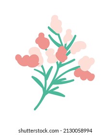 Twig con inflorescencias y hojas para el diseño. Hola primavera. Hermosa rama con flores para tarjetas de felicitación, afiches, tarjetas, pegatinas, decoraciones. Ilustración del vector sobre fondo blanco aislado